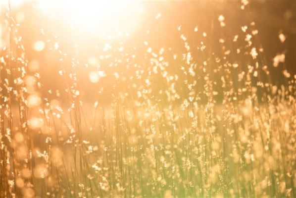 Polykarbonat skivor: UV-resistens och hållbarhet i fokus