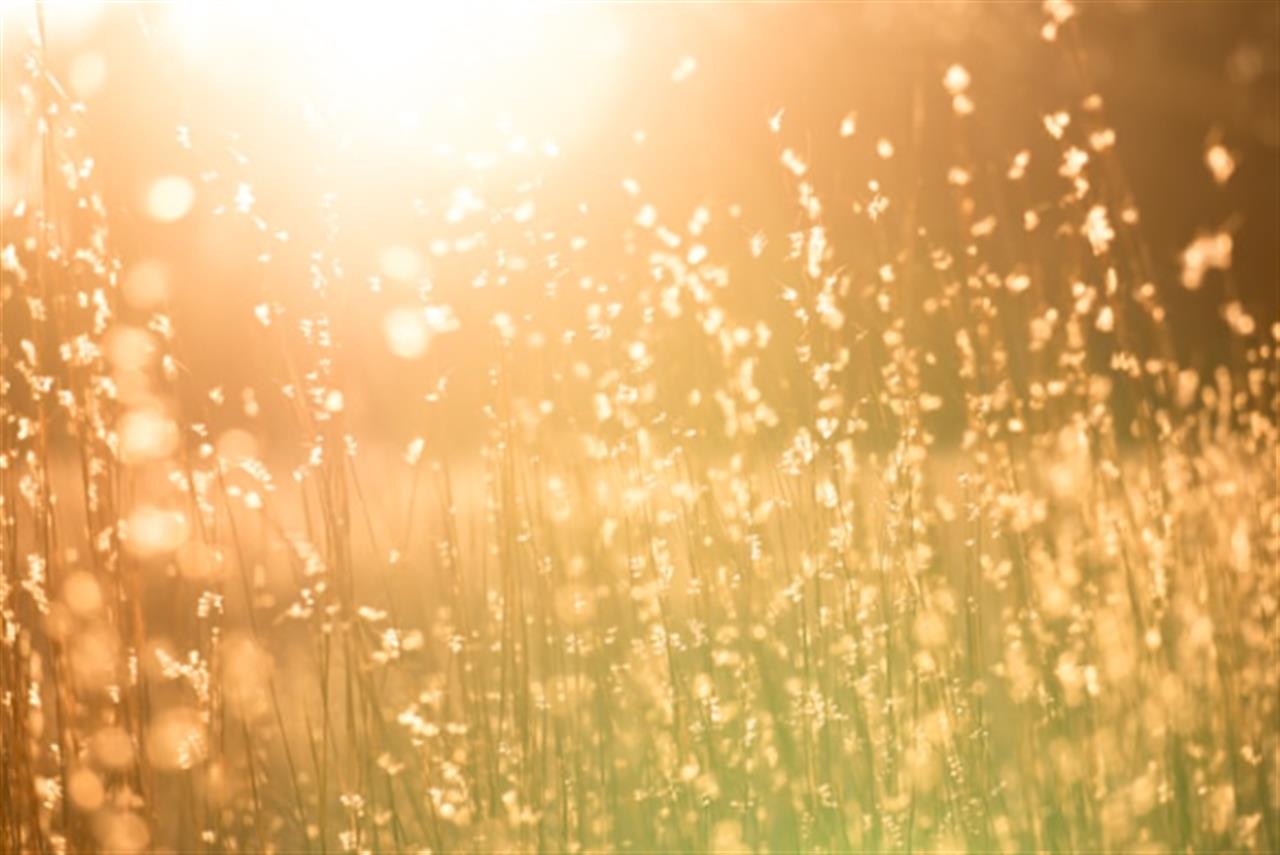 Polykarbonat skivor: UV-resistens och hållbarhet i fokus